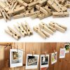 Timber Clothes Pegs (24)