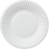 Paper Plates 7' White (100)  Code11002