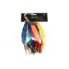 Feathers 18gram  Assorted Colour & SizesYM-001A